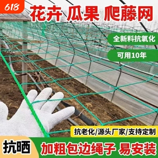 植物豆角黄瓜爬藤网攀爬瓜果百香果丝瓜吊瓜搭架葡萄种植苦瓜月季
