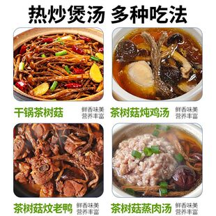 茶树菇干货不开伞农家特产干批发香菌菇炖汤食材煲汤营养特色源头