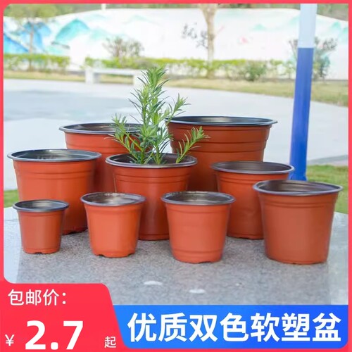 双色花盆插扦种植育苗营养钵塑料一次性加厚园艺绿植盆多肉盆培育