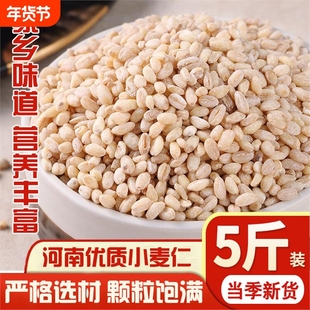 河南小麦仁去皮优质新麦仁米脱壳带胚芽煮粥饭用麦仁酵子自产新鲜