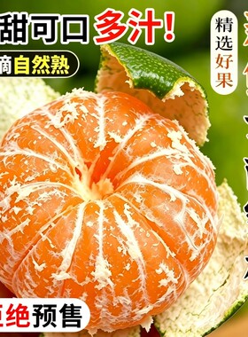 云南青皮蜜桔新鲜水果5斤蜜橘