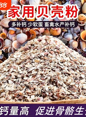 家禽用高钙贝壳粉补钙饲料添加