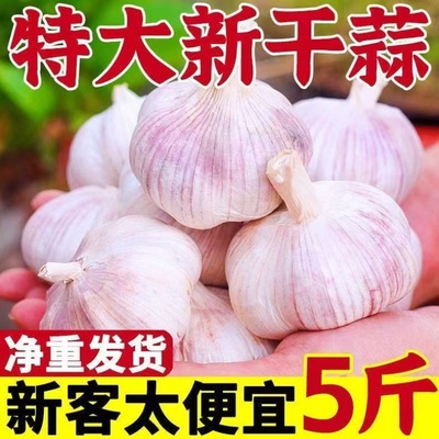 山东金乡大蒜5斤农家新紫皮大蒜新干蒜大蒜头精选干蒜批发