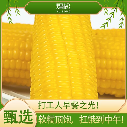 新鲜东北煜松黄糯玉米真空包装新鲜黏玉米棒粘苞谷粗粮主食代餐