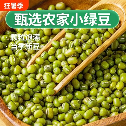 新绿豆小绿豆中小粒绿豆芽绿豆汤发芽绿豆糕批发食用小颗粒半斤