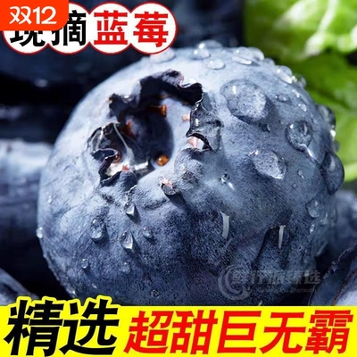 真花香蓝莓脆甜爽口大果