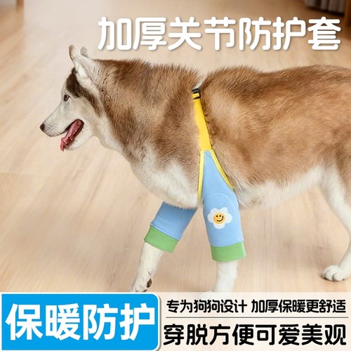 宠物关节防护套金毛大狗狗衣服秋冬保暖护肘护膝边牧中大型犬卡扣 - 封面