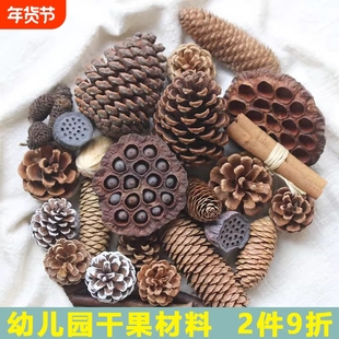 松果木片树叶干花干果组合肉桂diy手工橡果莲蓬棉花桌面雪松果实