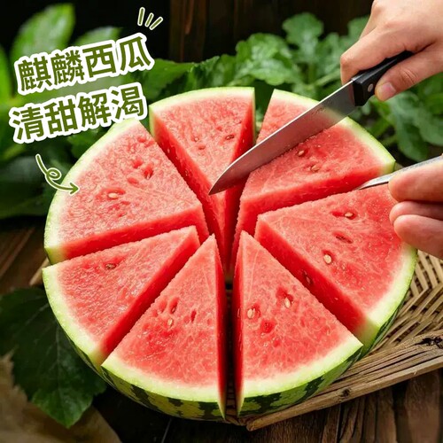 正宗8424麒麟瓜现摘冰淇淋大西瓜