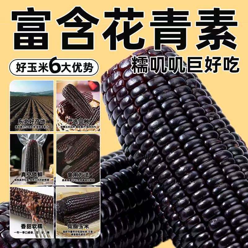 糯玉米黑糯玉米粘东北玉米大棒苞米代餐真空独立包装糯玉米黑糯玉