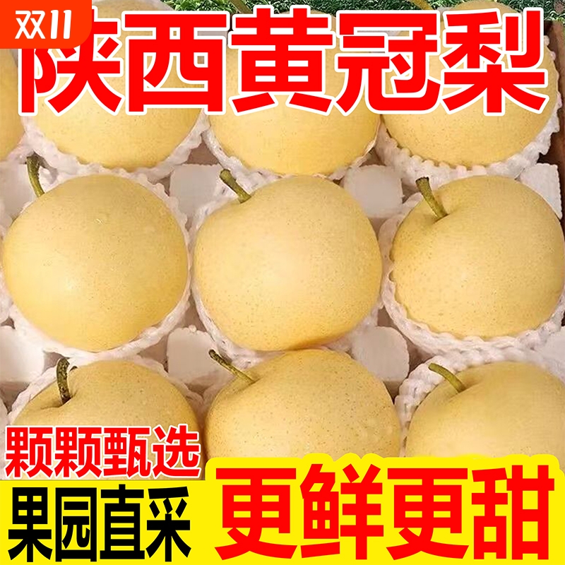 新鲜梨子陕西黄冠梨当季时令水果酥梨甜脆爽口黄皮梨现摘现发香梨