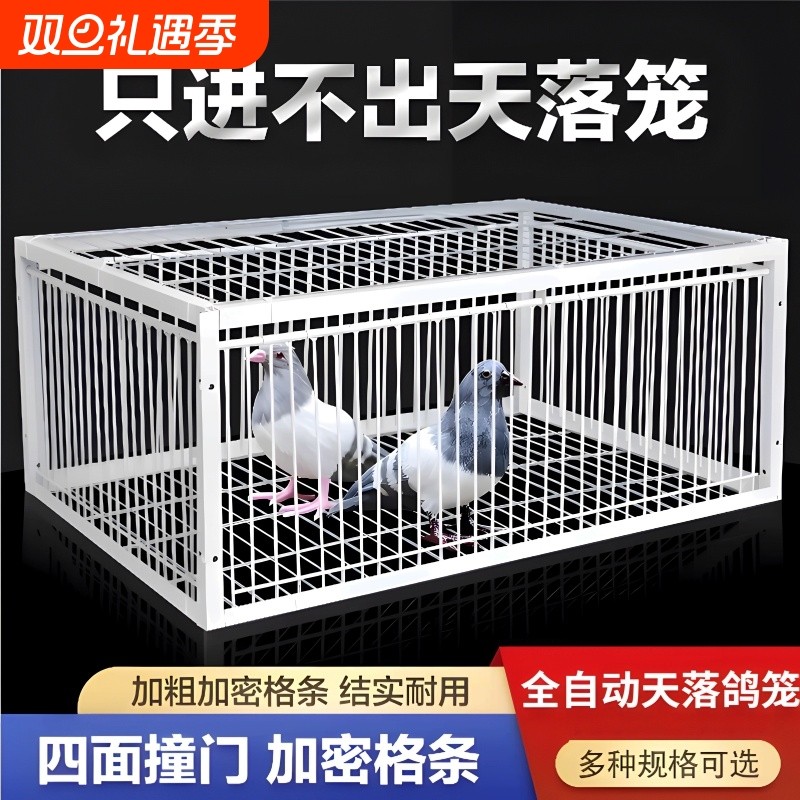 只进不出鸟笼全自动抓收笼子撞门加密天落鸽子神器Y捕笼器捕捉款