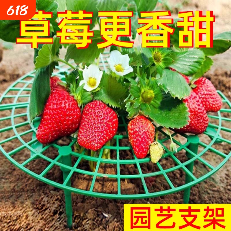 草莓托果网防虫水果桃子蓝莓专用托盘架绿植拼接护叶盆栽园艺用品