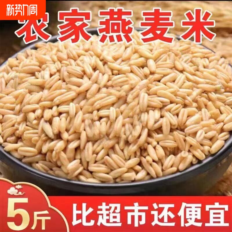 燕麦米生燕麦仁裸燕麦新米胚芽米燕麦粒粗粮玉米去皮五谷糙米新鲜