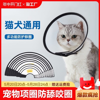 伊丽莎白圈狗狗猫咪脖套