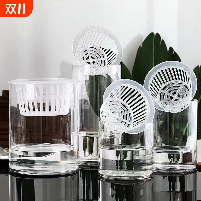 玻璃水培花瓶特大号|千人加购