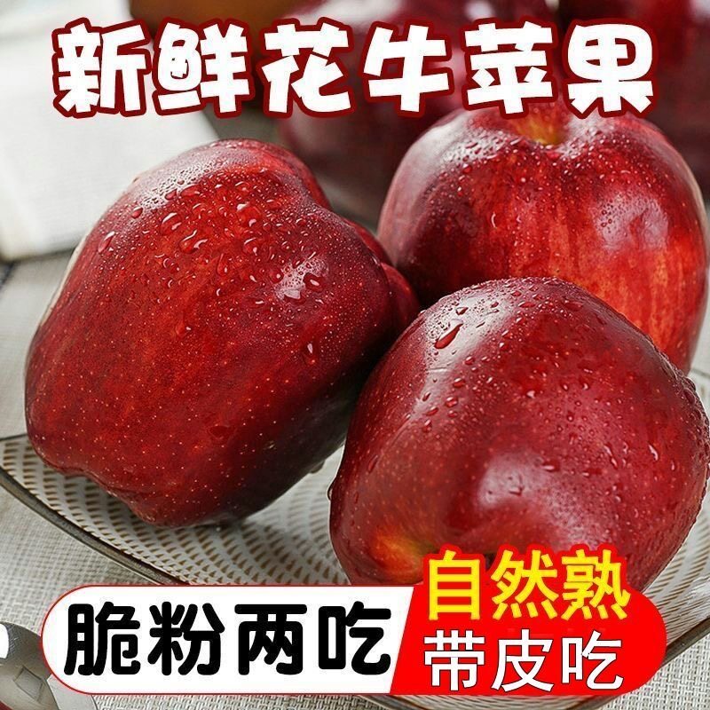 甘肃天水花牛苹果新鲜刮泥粉面平安果宝宝辅食水果包邮正宗自然