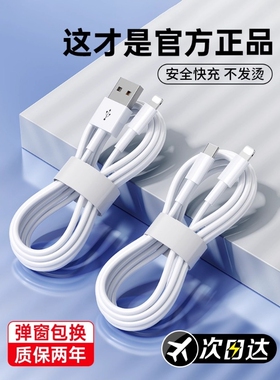适用iPhone16数据线15promax正品14苹果13充电线17器PD20w手机11/XR快充8p车载iPad平板12闪充2米原7plus装