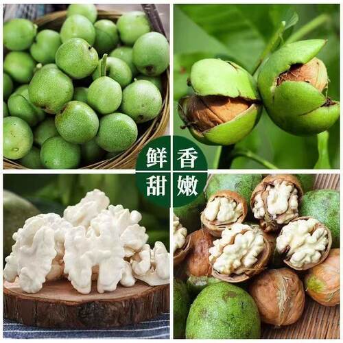 攀枝花新鲜生核桃2026新货青核桃带皮原味打豆浆专用原味孕妇坚果
