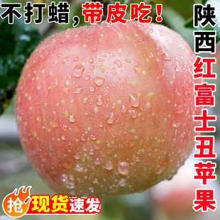 陕西红富士丑苹果新鲜水果应当季一整箱脆甜时令孕妇平果现季包邮