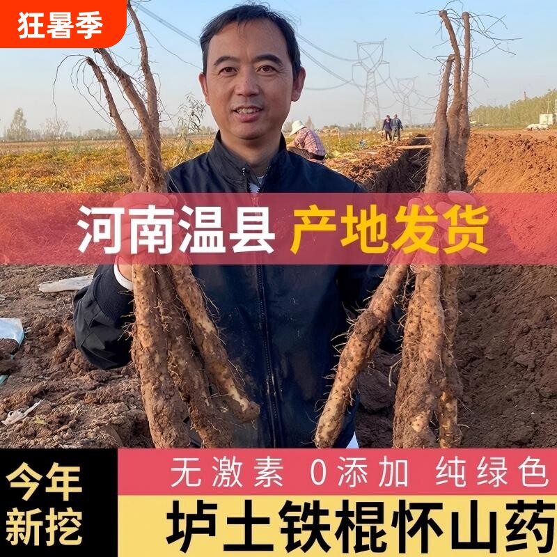 铁棍山药河南焦作温县正宗垆土怀淮山药新鲜铁杆蔬菜批发包邮怀山