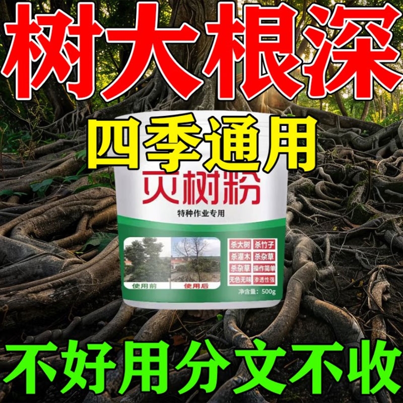 烂根除大树泼洒使用树死根烂