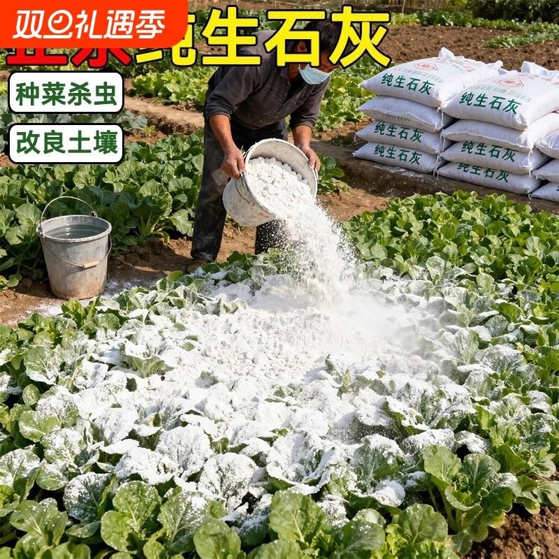 种菜生石灰粉杀虫消毒灭菌驱虫刷果树木改良土壤防霉菌干燥剂稻壳