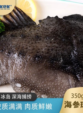 应鱿尽鱿鲜冻原切海参斑鱼肉段350g5袋装