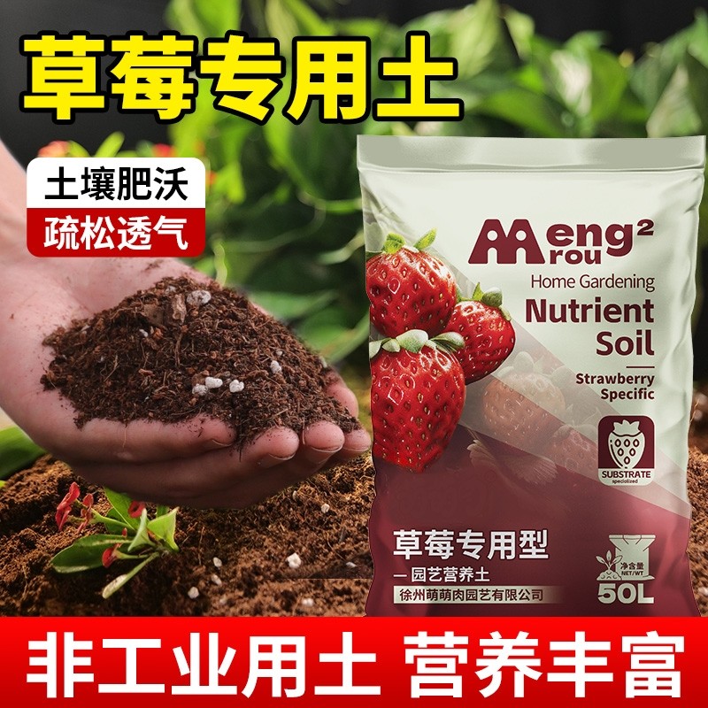 草莓专用土营养土种草莓专用肥料进口泥炭土阳台盆栽土壤种植泥土