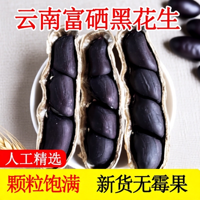 云南普洱富硒黑花生黑皮花生2025年新货晒干黑花生带壳黑皮花生米