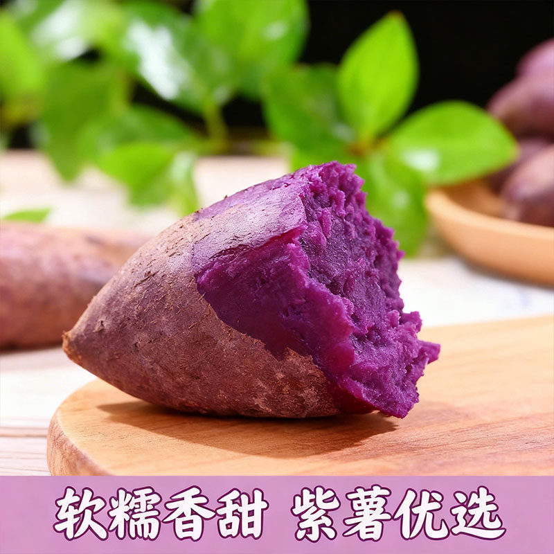 农家紫薯新鲜现挖软糯香番薯紫色香甜食用沙地自种优选紫心