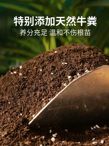 Питательный цветок