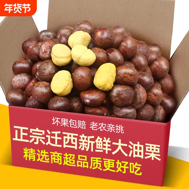2026年新货正宗迁大西油栗野生油栗燕山生栗子新鲜毛板栗子大粒粟