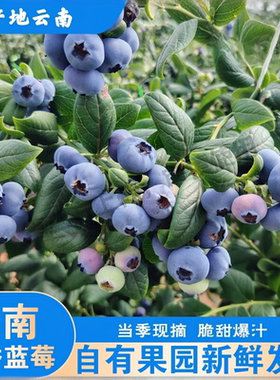 云南自有果园新鲜发货