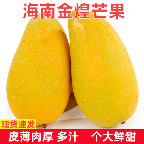 海南金煌芒水仙芒果9斤当季新鲜特大芒果水果青甜心芒一整箱包邮