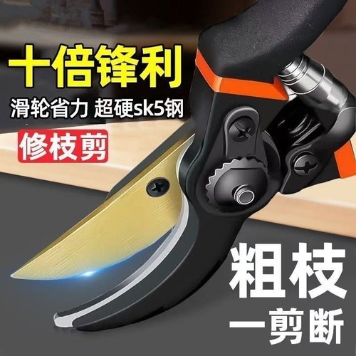 剪树枝剪刀专用花剪园艺园林修枝园丁剪嫁接强力采摘省力修水果树