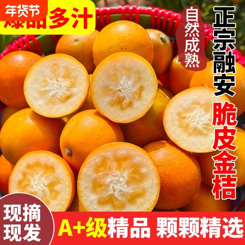 广西融安脆皮金桔纯滑皮金桔1/2/3斤装新鲜水果应季孕妇整箱现摘,水产肉类/新鲜蔬果/熟食,桔子,淘宝优惠券,粉丝福利购,淘宝优惠卷