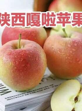 芭芭农场兑换陕西嘎啦苹果2.5斤装单果65mm+香甜多汁新鲜自提脆甜