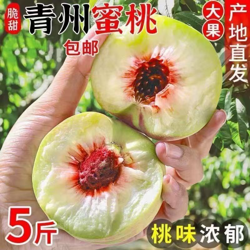 青州蜜桃冬桃冬雪蜜桃脆蜜桃毛桃