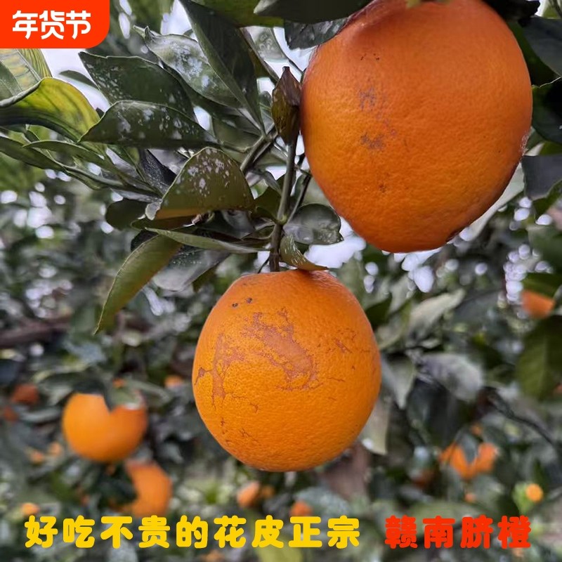 正宗赣南脐橙江西9斤榨汁丑橙子18.5斤花皮果10当季新鲜水果20,水产肉类/新鲜蔬果/熟食,橙,淘宝优惠券,粉丝福利购,淘宝优惠卷