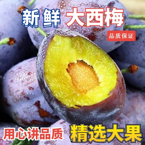 【新鲜大西梅】现摘正宗大西梅鲜果新鲜水果法兰西女神整箱大果
