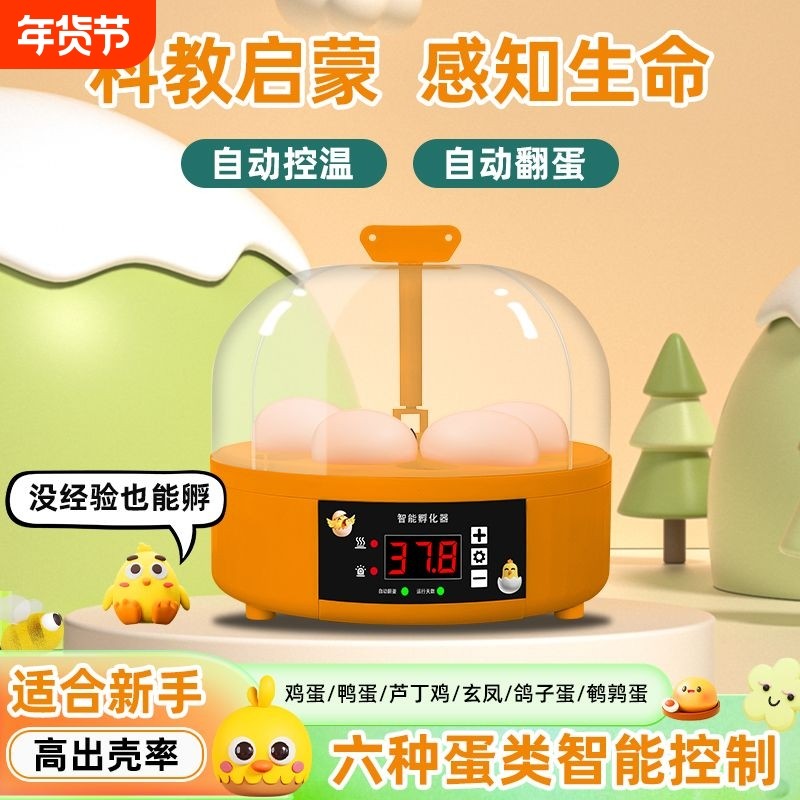 孵化器小型家用全自动智能儿童孵蛋器鹦鹉芦丁鸡小鸟蛋孵化箱小鸡,五金/工具,电热工具,淘宝优惠券,粉丝福利购,淘宝优惠卷
