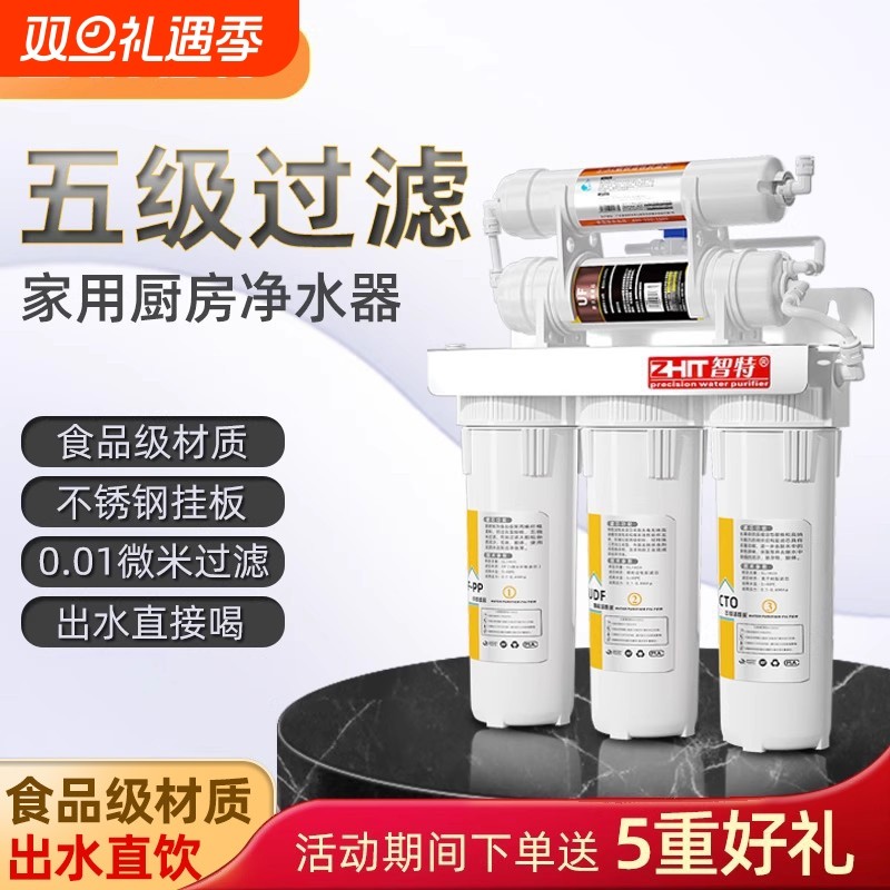德国智特超滤净水器家用10寸滤芯通用大款过滤器直饮厨房自来水