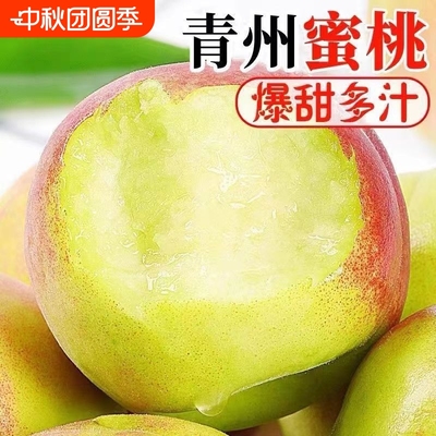 【青州蜜桃】正宗山东青州蜜桃脆甜桃子离核毛桃硬桃现摘当季新鲜