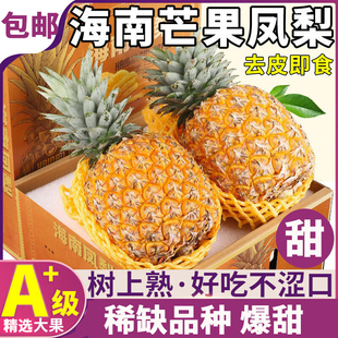 正宗海南芒果凤梨台农23号小凤梨树熟新鲜凤梨酸甜孕妇水果非菠萝