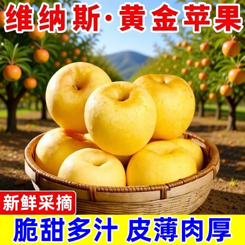 黄金维纳斯苹果山东新鲜水果大当季整箱时令孕妇正宗奶油烟台脆甜,水产肉类/新鲜蔬果/熟食,苹果,淘宝优惠券,粉丝福利购,淘宝优惠卷