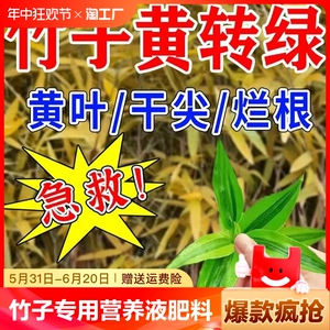 竹子专用营养液竹子专用肥料急救叶子发黄烂根药竹子黄叶药营养液