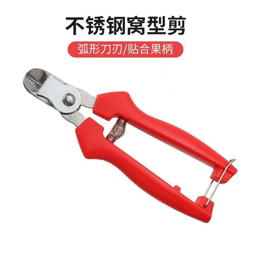不锈钢窝型摘果剪番茄苹果专用剪橘子采摘剪水果果柄凹形修枝剪刀