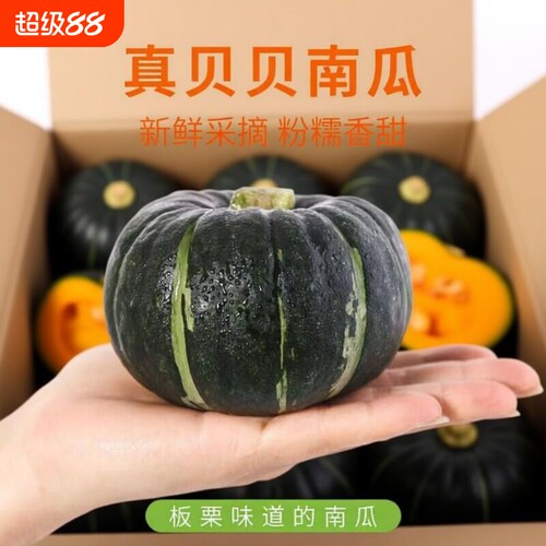 贝贝南瓜正宗粉糯板栗味