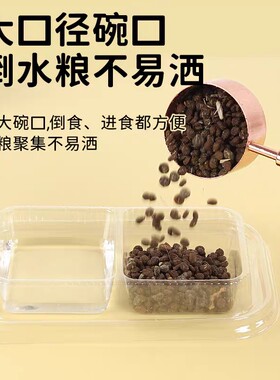 君家一次性猫碗防蚂蚁二合一